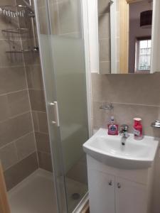 a bathroom with a shower and a sink at Loch Ness Studio Blairbeg in Drumnadrochit