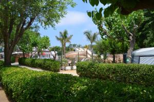 Vonkajšia záhrada v ubytovaní Camping Sènia Caballo de Mar