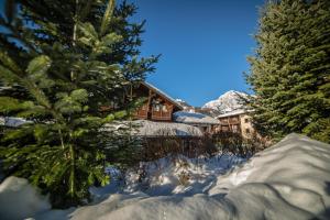 a log cabin in the snow with a christmas tree at Residence Cour Maison in Pré-Saint-Didier