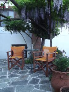 Vera's Traditional House في زاغورا: كرسيين وطاولة تحت شجرة مع زهور أرجوانية