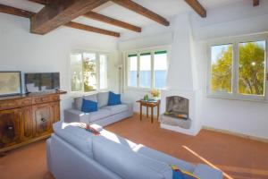 a living room with a couch and a fireplace at Casa Bianca - Goelba in Pomonte