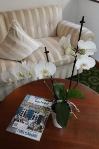 Posezení v ubytování Schwarzwaldhotel Stollen