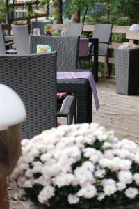Fotografie z fotogalerie ubytování Schwarzwaldhotel Stollen v destinaci Gutach im Breisgau
