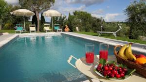 Bazén v ubytovaní Agriturismo Palazzo Conti A alebo v jeho blízkosti