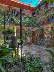 A garden outside Alojamiento casa típica de Córdoba