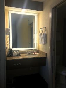 a bathroom with a sink and a large mirror at Baymont by Wyndham Flat Rock in Flat Rock