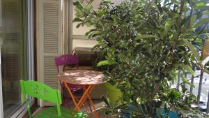 - une table et des chaises à côté d'un arbre sur une terrasse couverte dans l'établissement Chambre Ajaccio, à Ajaccio