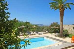 a villa with a swimming pool and a palm tree at Clos des Oliviers in Lumio