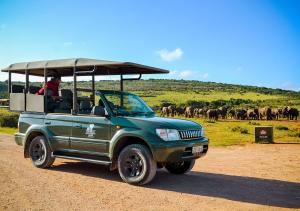 a green jeep driving on a dirt road with a herd of elephants at Sundaze Riverside House - Colchester - 5km from Elephant Park in Colchester