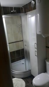 Een badkamer bij Zlatibor Apartman Pantic