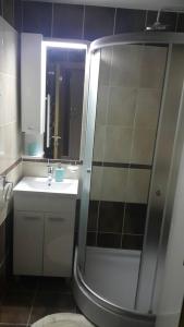 een badkamer met een douche en een wastafel bij Zlatibor Apartman Pantic in Zlatibor