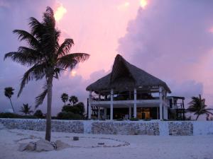 a building on the beach with a palm tree at Rancho Sakol in Puerto Morelos