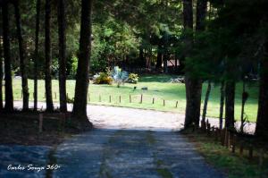 Um jardim em Pousada Cabanas da Serra Lumiar