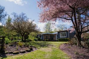 a house with a flowering tree in the yard at Mahaanui Cottage Farmstay in Tiniroto