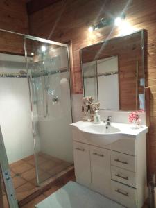 a bathroom with a sink and a shower at Mango Cottage in Horseshoe Bay
