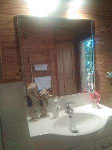 a person taking a picture in a bathroom mirror at Mango Cottage in Horseshoe Bay +10 photos