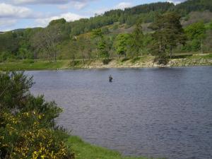 a person is standing in the middle of a lake at No 9 The Guest House Perth in Perth