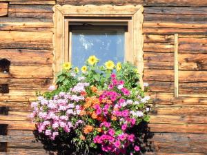 una ventana con una caja de flores en una pared de madera en Ferienhaus Höchhäusl, en Werfenweng