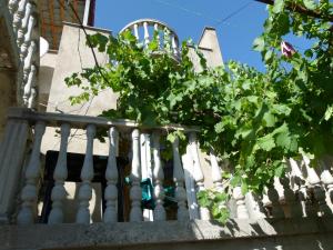 Giardino di Why Me Eco-friendly Hostel