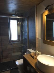 La salle de bains est pourvue d'un lavabo, d'une douche et de toilettes. dans l'établissement Cal Pedrals Pairal, à Urus