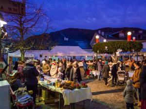 Hosté ubytování Residence Hauserhof + 50 fotografií
