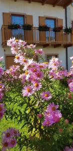 Zahrada ubytování Nido di Rondine B&B