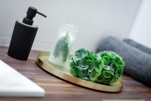 a green plant on a plate on a desk at *ClickTheFlat* Wilcza 33 Street Apart Rooms in the City Center in Warsaw