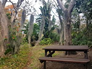 a wooden bench sitting in a park with trees at Rocky Ridge Farm Cottage in Port Edward