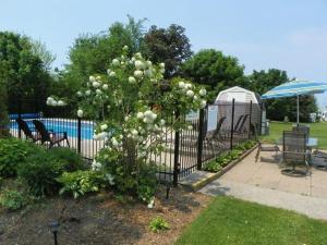 Foto da galeria de Lakeview Motel & Cottage em Kincardine