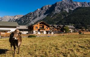 una mucca in piedi in un campo di fronte a una montagna di Agriturismo La Stalla a Bormio