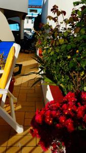 a patio with red flowers and a white chair at Apartamentos Atalaia in Sagres