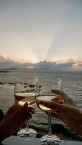 two people holding wine glasses with the ocean in the background at Villa Andromeda in Chania