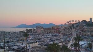 una ciudad con una noria y un puerto en Cannes Conseil Immo, Pedestrian Street Modern & quiet -Bai-, en Cannes