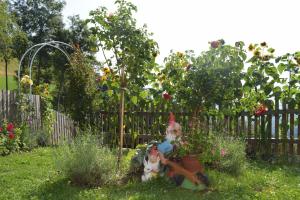 Zahrada ubytování Ferienhaus Schleinzer