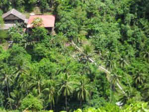 a house on top of a hill with palm trees at Nuts Huts in Loboc