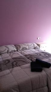 カステリョン・デ・ラ・プラナにあるcasucha da adrianaの紫の壁のベッドルーム1室