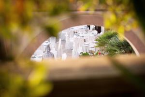 a view of a garden through a window at Hotel Villa Margherita in Quercianella