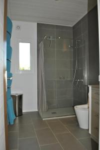 a bathroom with a shower and a toilet at VILLA HORIZONTE in Puntagorda
