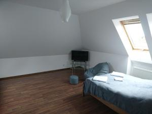 a bedroom with a bed and a television in it at Apartament Boróweczka in Polkowice