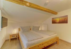 a bedroom with a bed and a tv in a room at Panoramablick in Mauth