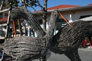 a large tree with a rope attached to it at Jolly City Center Hotel in Tirana
