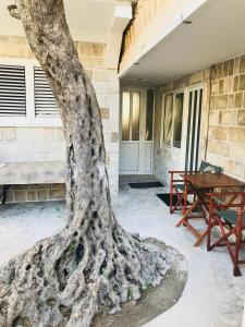 tronco di albero di fronte a un edificio con tavolo di Guest House Ratko a Rafailovici