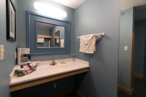 Koupelna v ubytování Essenhaus Inn & Conf. Center