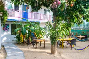 Fotografie z fotogalerie ubytování Hotel Posada Señor Mañana v destinaci San José del Cabo