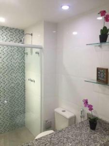マンガラチバにあるApto no Condominio Porto Real Resortのバスルーム(シャワー、トイレ付)