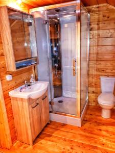 a bathroom with a shower and a sink and a toilet at Chata w Górach-domek z Sauną in Klikuszowa
