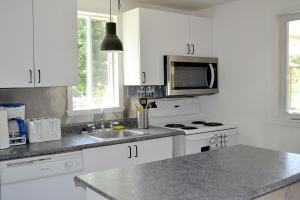 Kuchyň nebo kuchyňský kout v ubytování Les 4 chalets - Le 609 + 11 fotografií