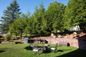 Zahrada ubytování Blue Spruce Motel