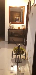 a chair with a plant on it in front of a mirror at Hotel D' Oscar in Cali