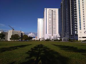 a tree in a field in front of some buildings at Rm Staycation TaalView Smdc in Tagaytay